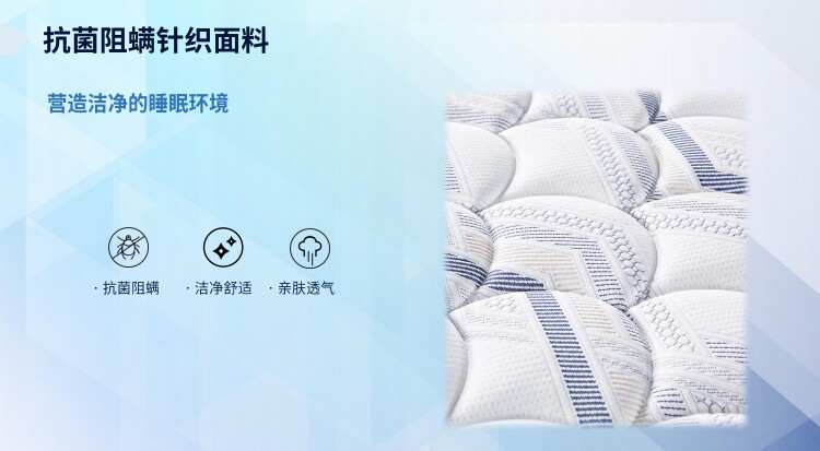2026年全球狗服装行业发展现状及市场前景分析(图1)